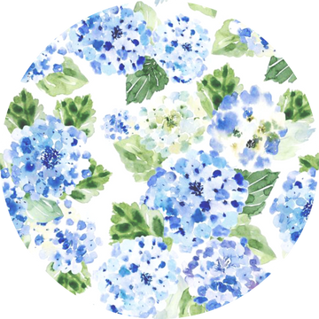 Blue Hydrangeas