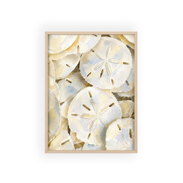 Sand Dollar Treasures Framed Art Print