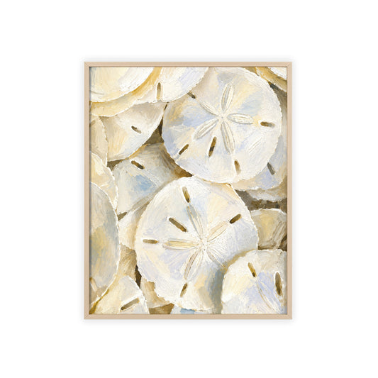 Sand Dollar Treasures Framed Art Print