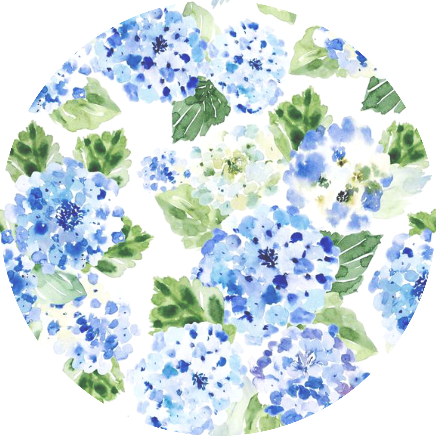 Blue Hydrangeas