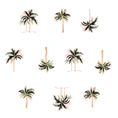 Little Palms