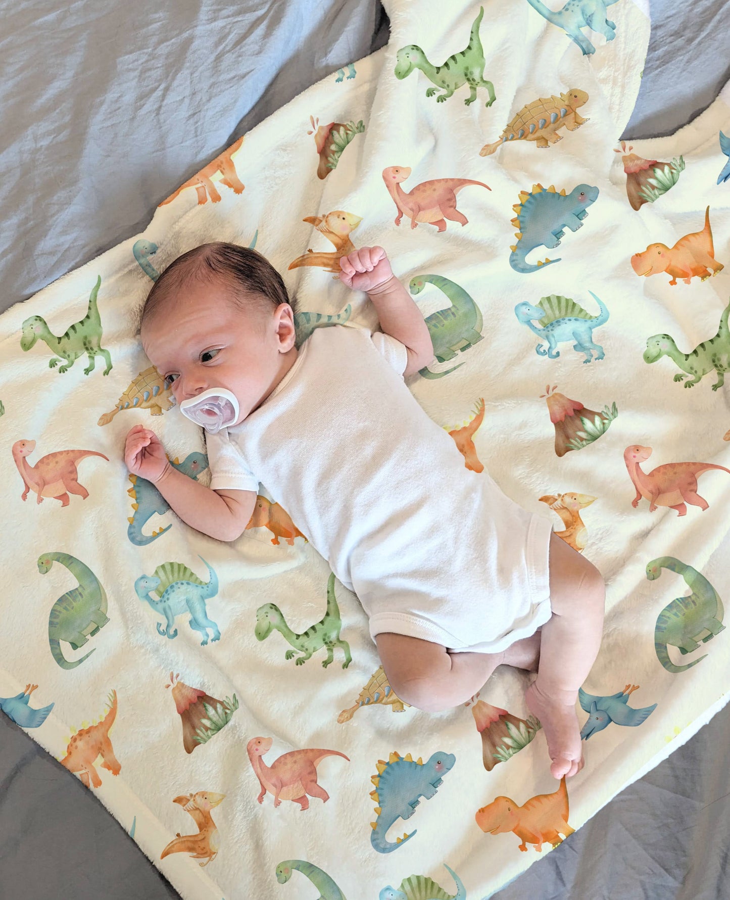 Dino Minky Blanket