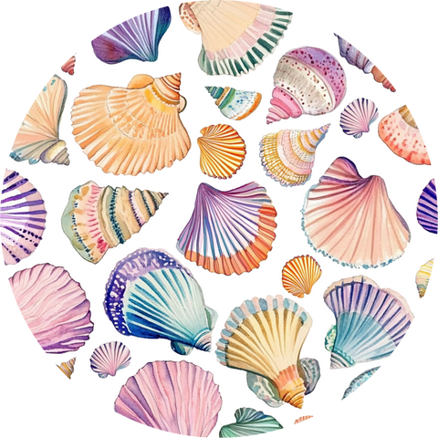 Rainbow Shells