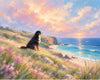 Watchful Berner - Test